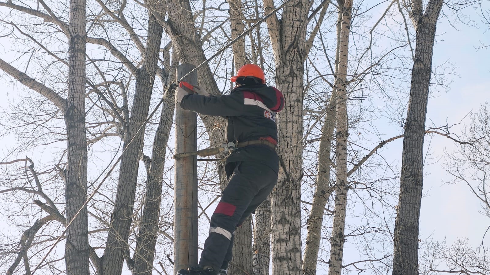 В Восточном Казахстане проходят учения «Көктем - 2026»