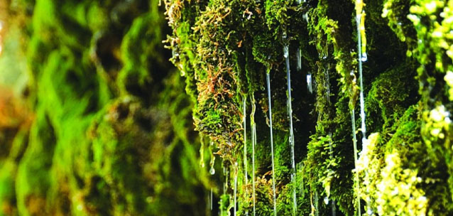 Один из самых загадочных водоёмов Казахстана: как он дал имя сыну известного американца