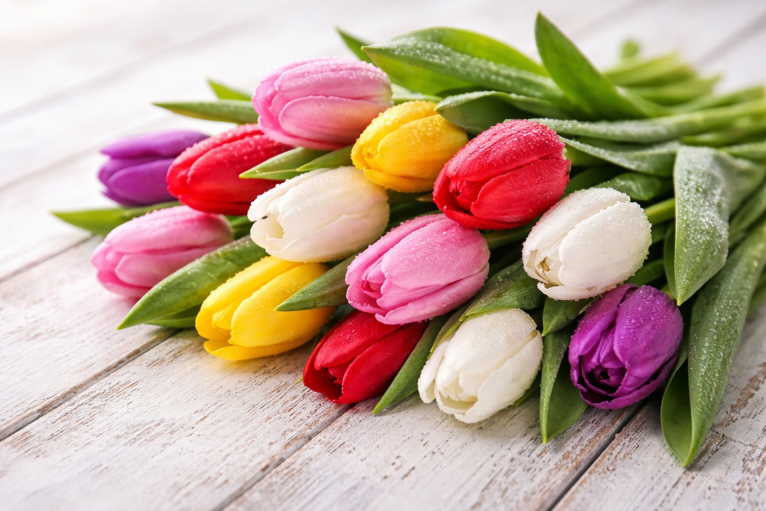 Кто в столице получит денежные выплаты к 8 марта