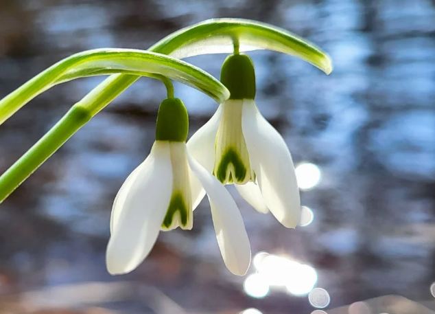 28 марта в Казахстане ожидается весенняя теплая погода