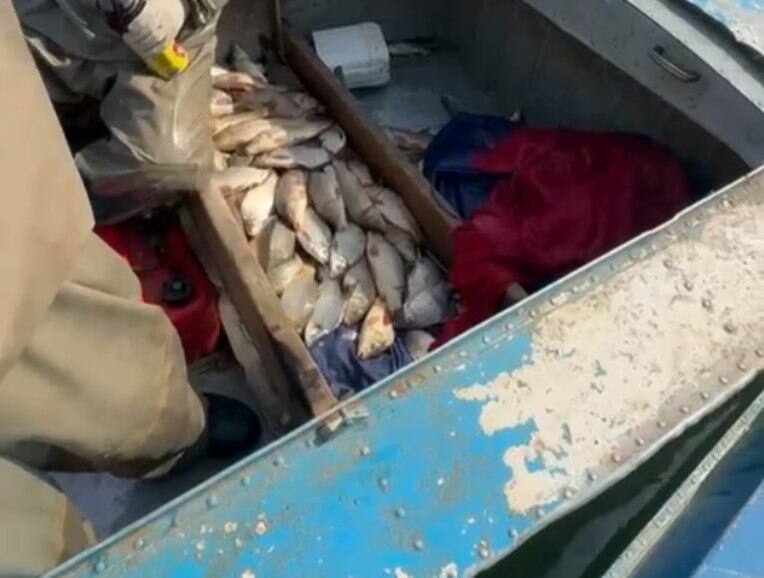 У браконьеров в Туркестанской области изъяли около 130 кг рыбы