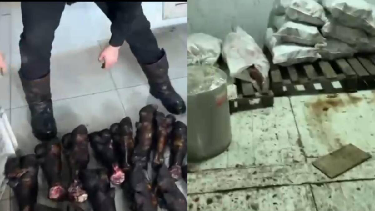 Полиция пресекла незаконный оборот мясной продукции в Астане