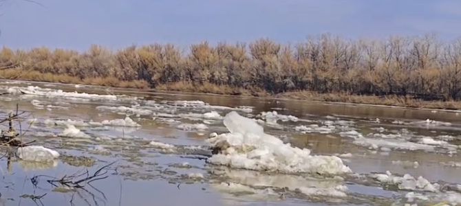 Уровень воды в реке Жайык поднялся