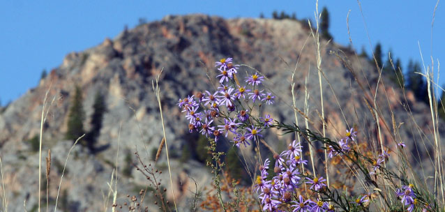 Казахстан выносит в центр внимания мировой повестки экологию и будущее стран региона