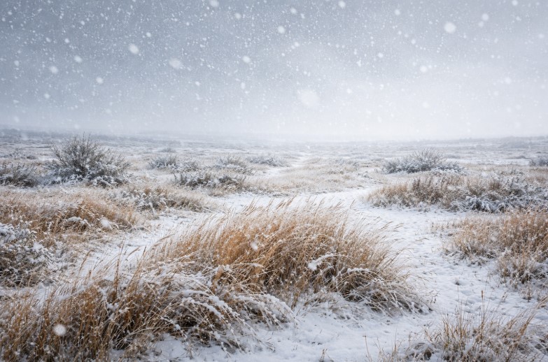 Штормовые предупреждения объявлены в ряде регионов Казахстана на 8 марта