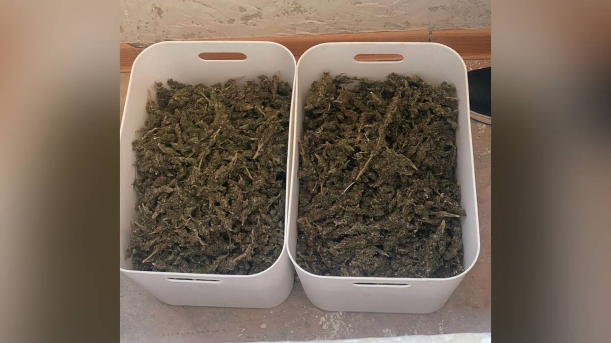 В Актау у задержанных изъяли почти четыре кг наркотиков