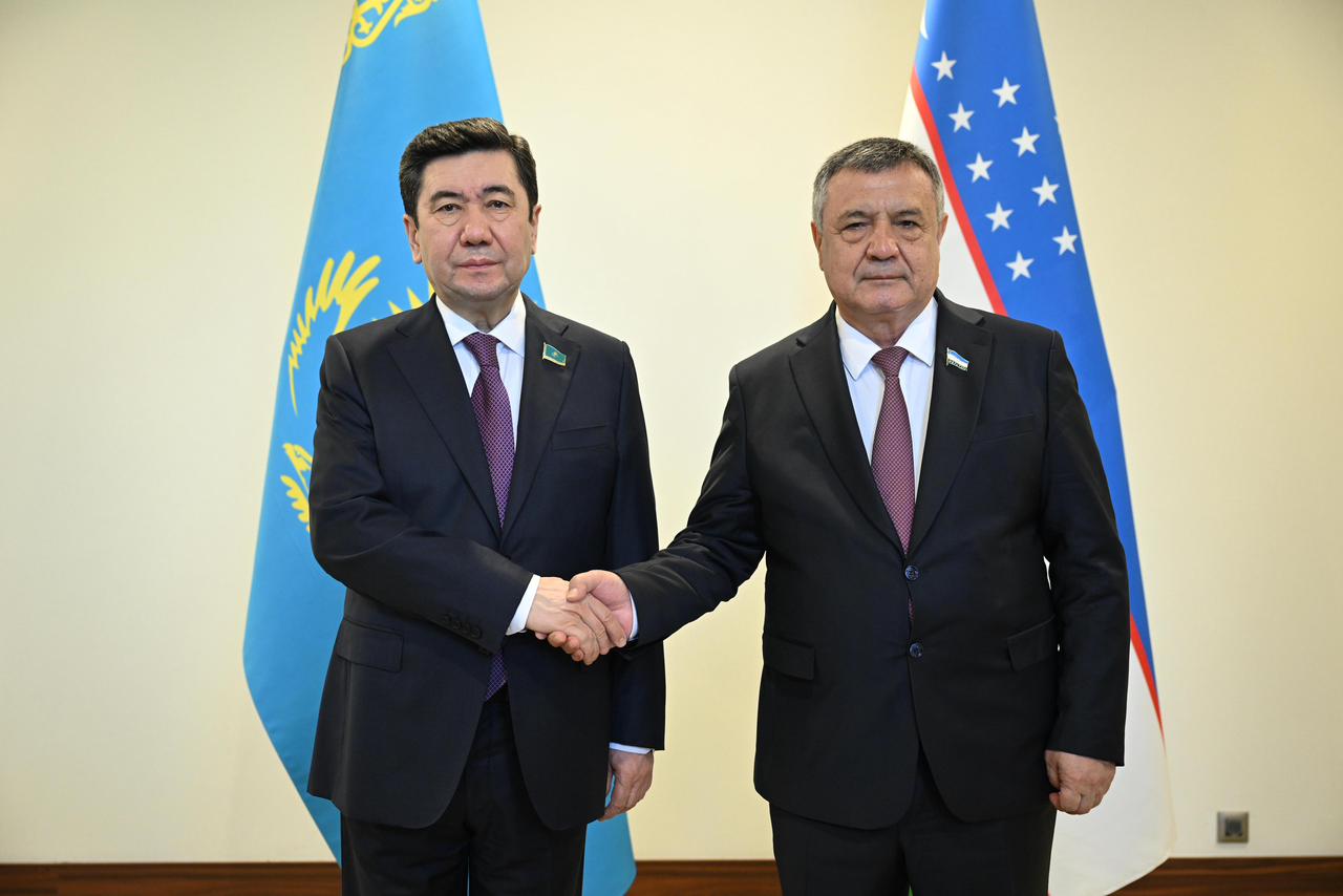 Депутаты Казахстана и Узбекистана обсудили совместные проекты в области «зеленой» экономики и энергетики