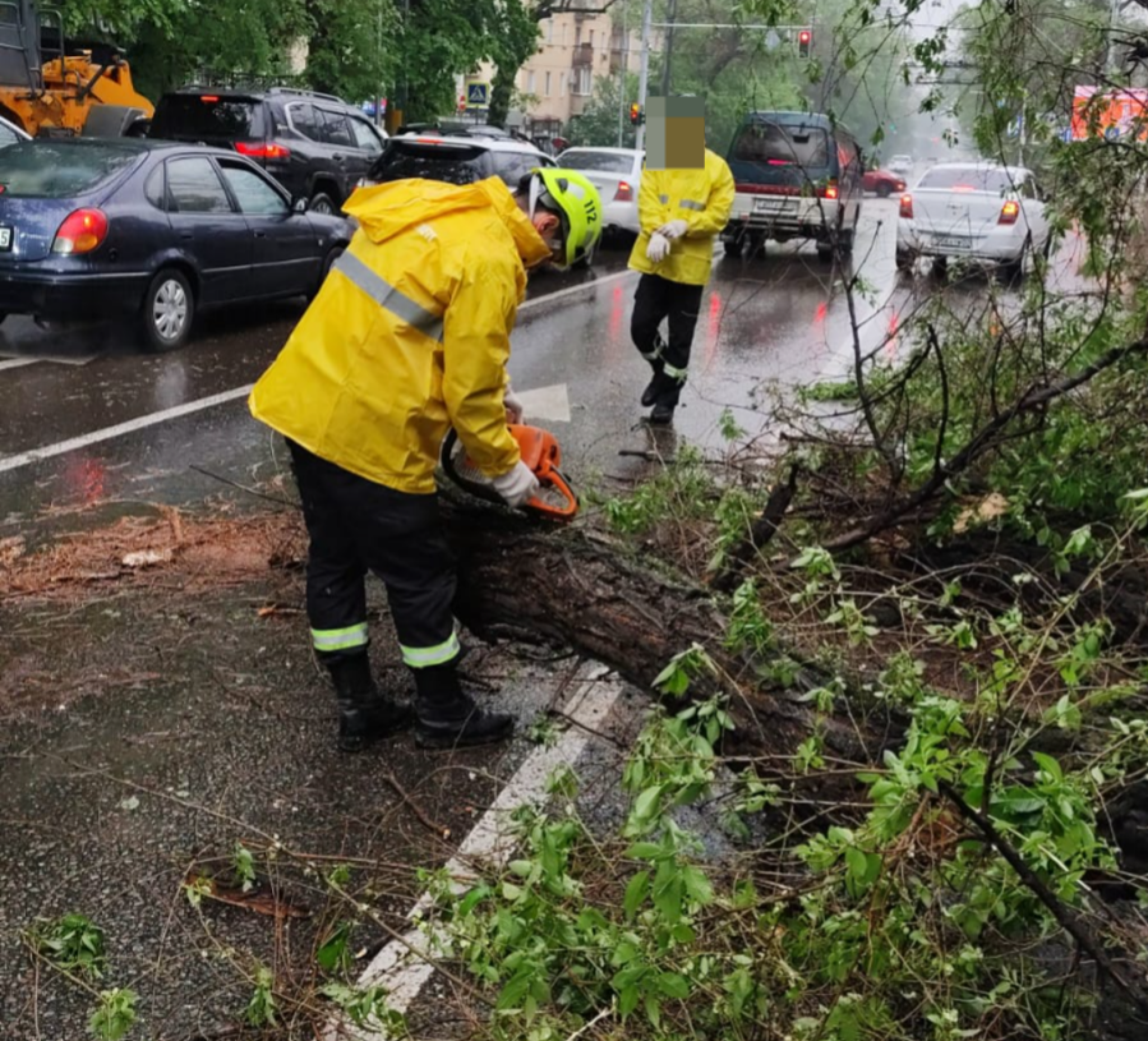 В центре Алматы упало дерево и перекрыло дорогу