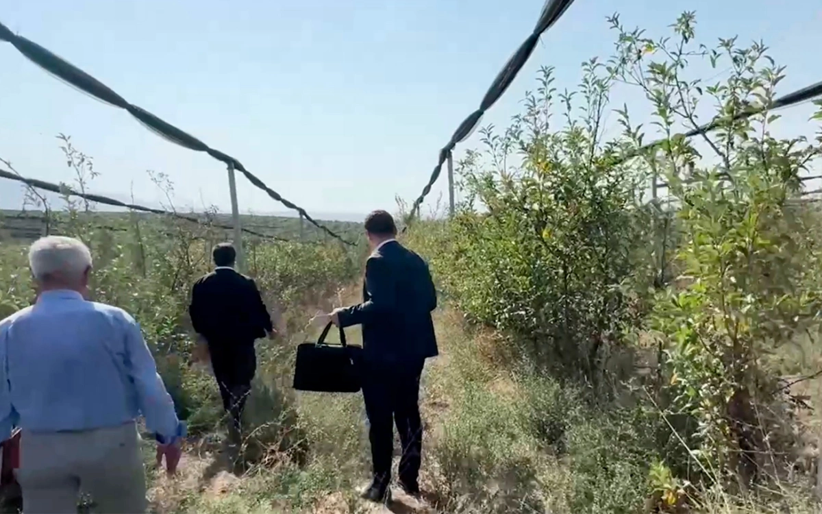 В Шымкенте раскрыли схему хищения более 430 млн тенге при создании яблоневых садов