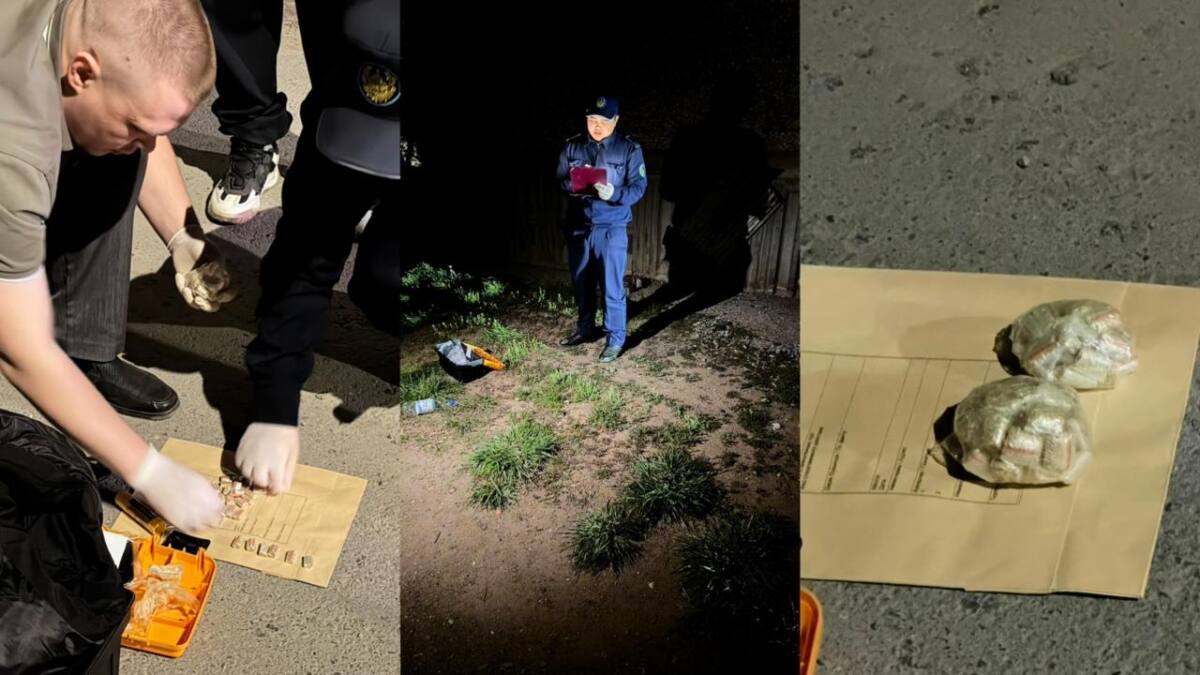 В Павлодаре полицейские пресекли деятельность крупного канала сбыта "синтетики"