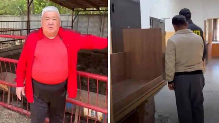 В области Жетысу полицейские раскрыли кражу скота на сумму более 46 миллионов тенге