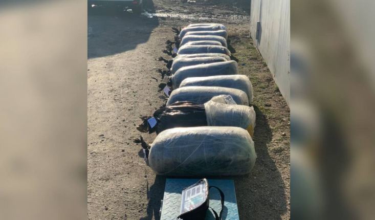 В Аксу из тайника в гаражном кооперативе изъято 300 кг наркотиков