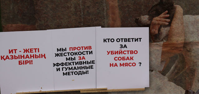 Поправки в закон об ответственном обращении с животными разорвали Казахстан на два лагеря