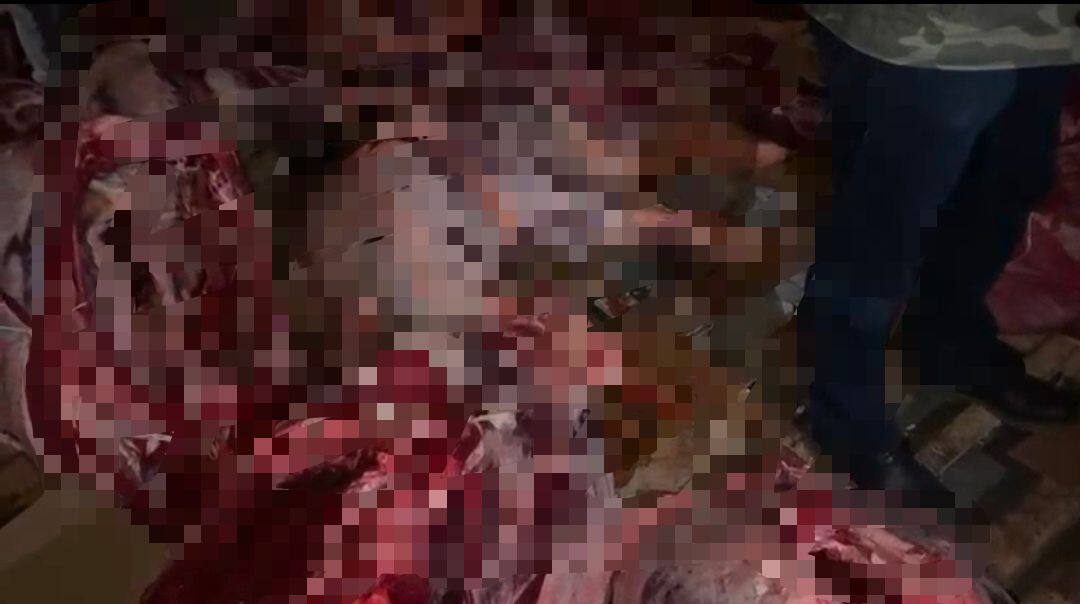 Незаконную перевозку крупной партии мясной продукции пресекли в Астане