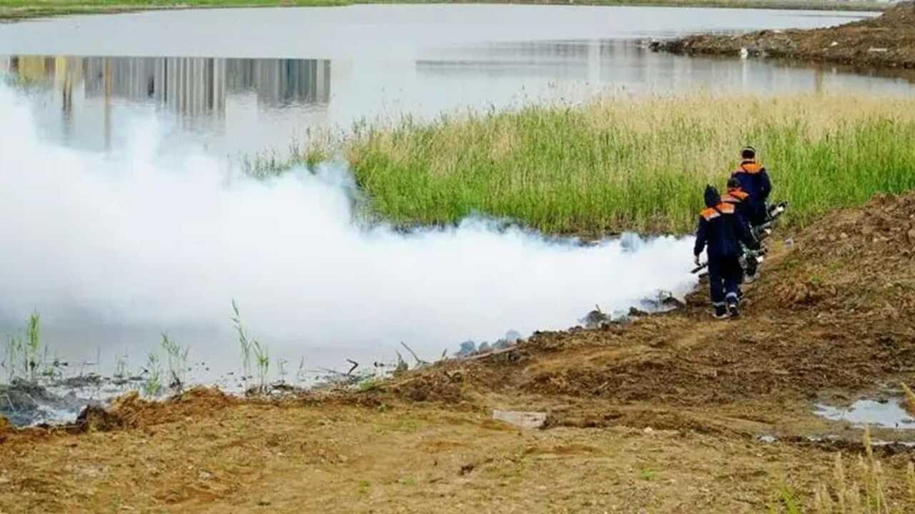 Борьба с комарами и мошками: первый тур дезинсекционных работ стартовал в Астане