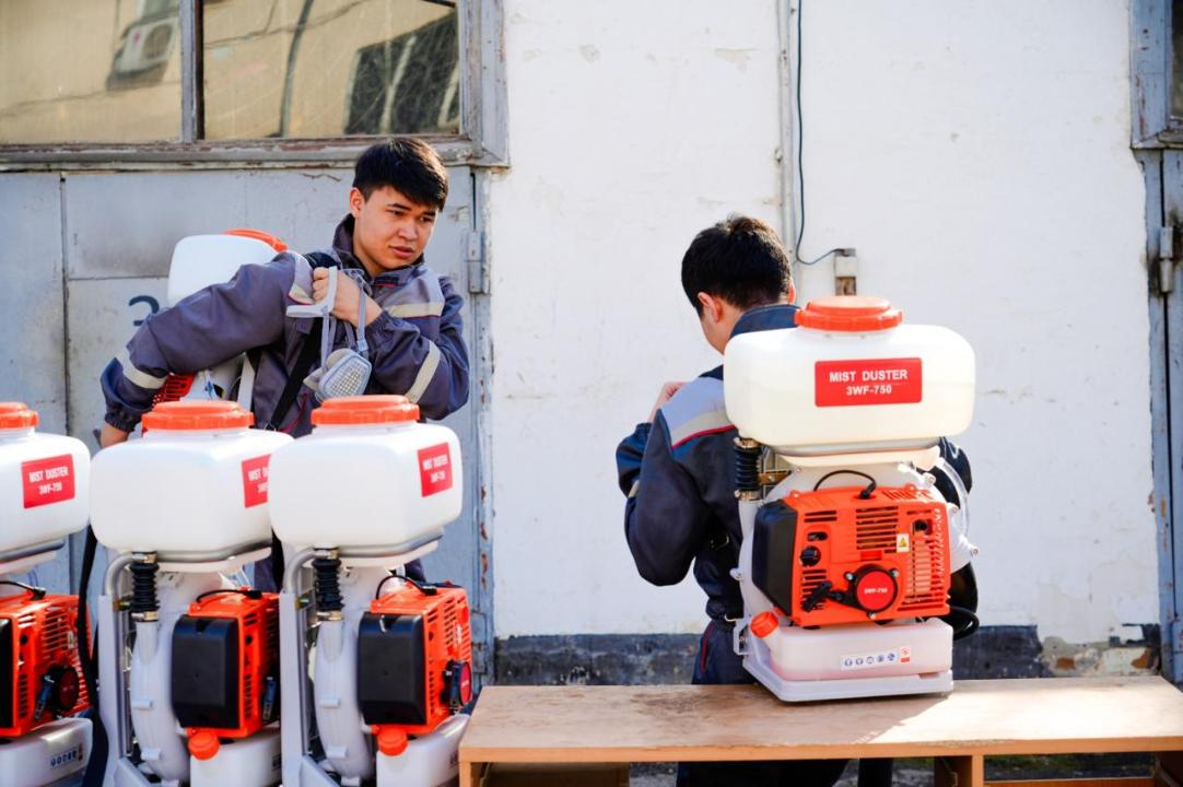 Как будут бороться с комарами и мошками в Астане