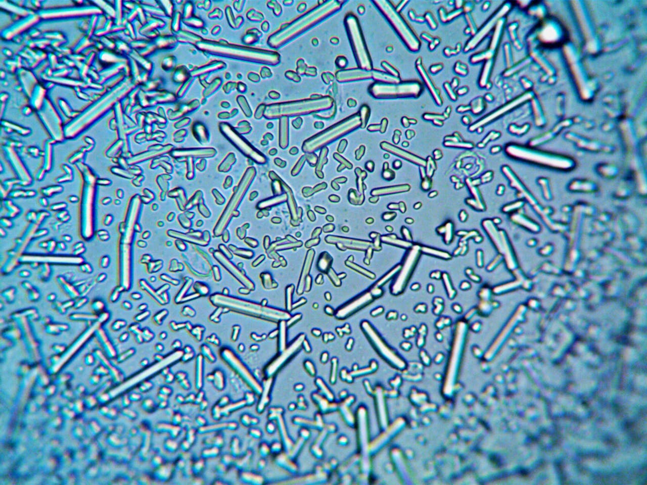 Алматинские санврачи рассказали о профилактике энтеровирусной инфекции