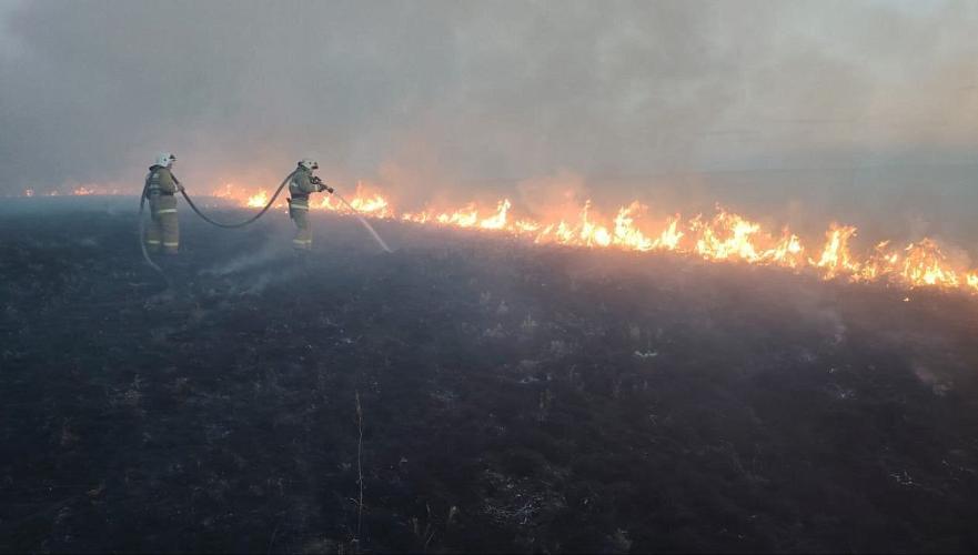 Сухая трава горела в Акмолинской области