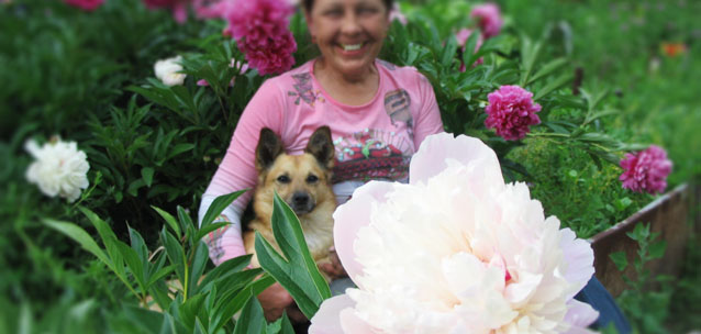 Как посадить «магическую дачу» и притянуть к себе удачу