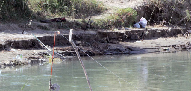 Жителя ЗКО осудили за 11 мешков раков