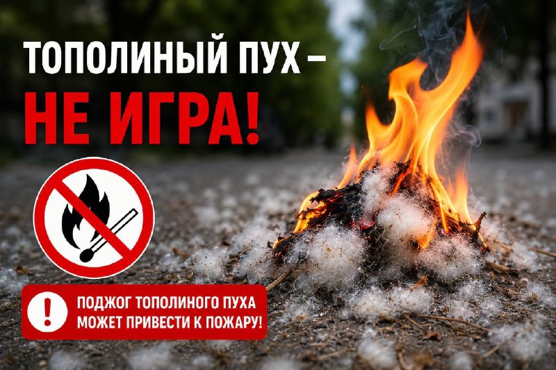 Казахстанцам напомнили о наказании за поджог тополиного пуха