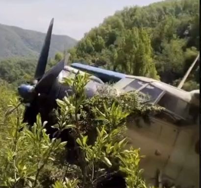 Под Алматы кукурузник экстренно приземлился в кустах