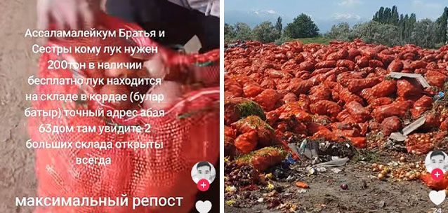 Урожай на свалку: почему казахстанский фермер не может продать 200 тонн лука?