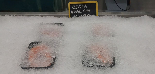 В Казахстане запретили продажу свежей рыбы? С прилавков исчезли сазан, судак, карп и белый амур