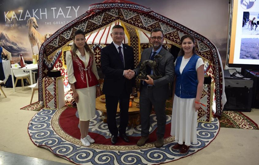 Казахский тазы триумфально представлен на World Dog Show 2026 в Болонье