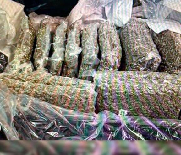 Контрабанду 21 кг марихуаны пресекли в аэропорту Алматы