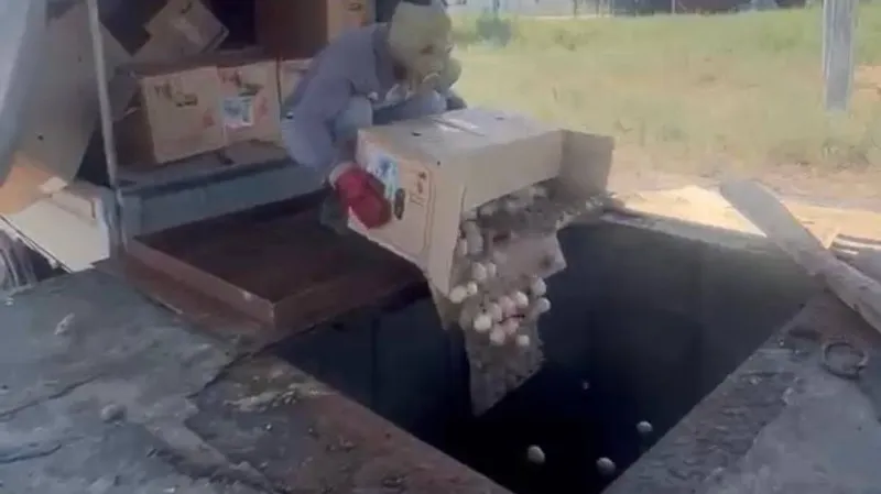 C популярного рынка Алматы изъяли тысячи опасных яиц
