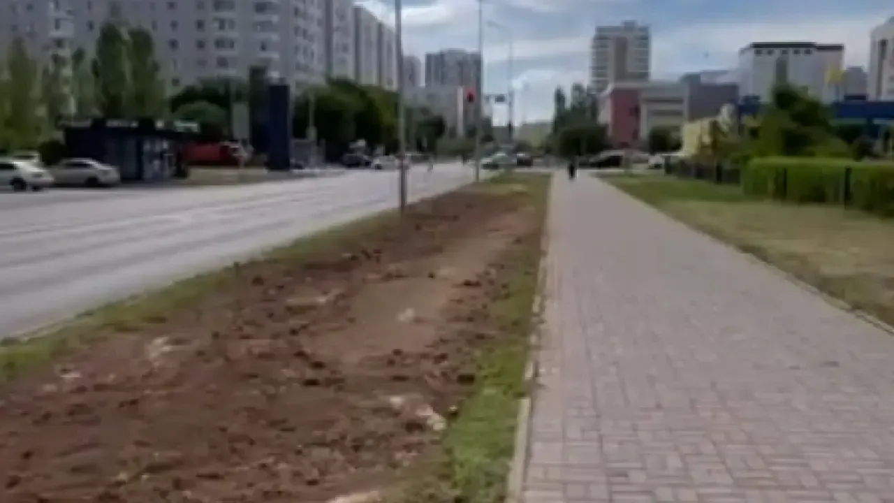 В акимате объяснили пропажу деревьев на одной из улиц Астаны