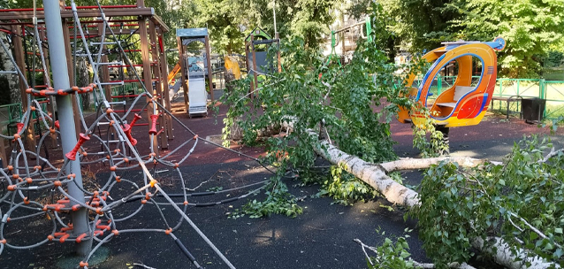 Дерево рухнуло на детскую площадку в Алматы