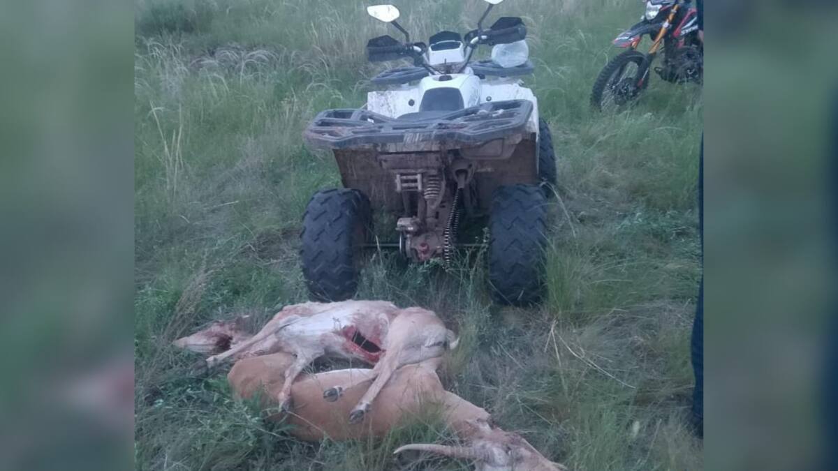 В Акмолинской области расследуют факт незаконной охоты на сайгаков