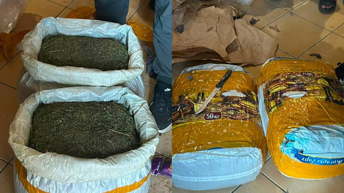 В Мангистауской области изъяли около 20 кг марихуаны