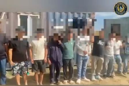 В Туркестанской области выявили 12 нелегально работавших иностранцев