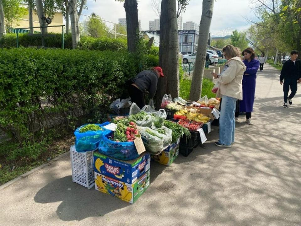 Семь незаконных рынков закрыли в Ауэзовском районе Алматы