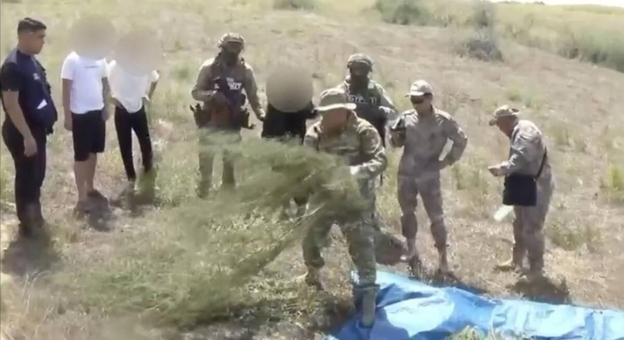 Больше 20 кг наркотиков и серп изъяли у жителя Жамбылской области