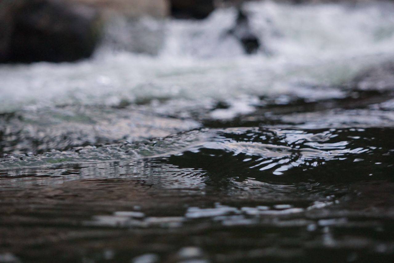 В Казахстане изменились Правила пользования поливной водой