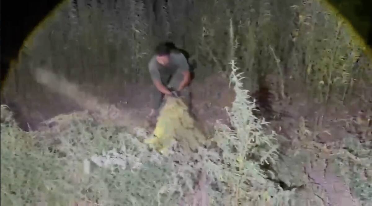 Полицейские изъяли у жителя Жамбылской области 40 кг марихуаны