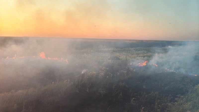 В Акмолинской области ликвидировали пожары на площади 230 гектаров