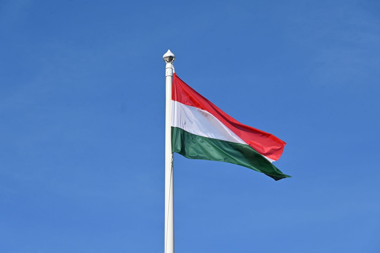 Избран новый президент Венгрии