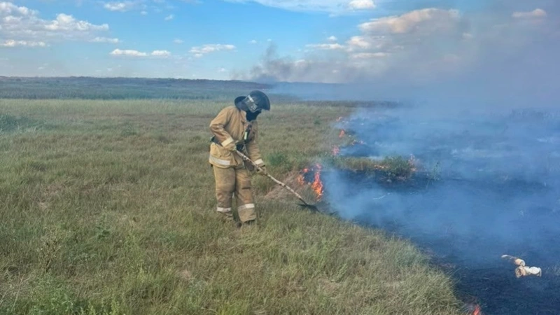 Около 100 гектаров сухой травы сгорело в Акмолинской области