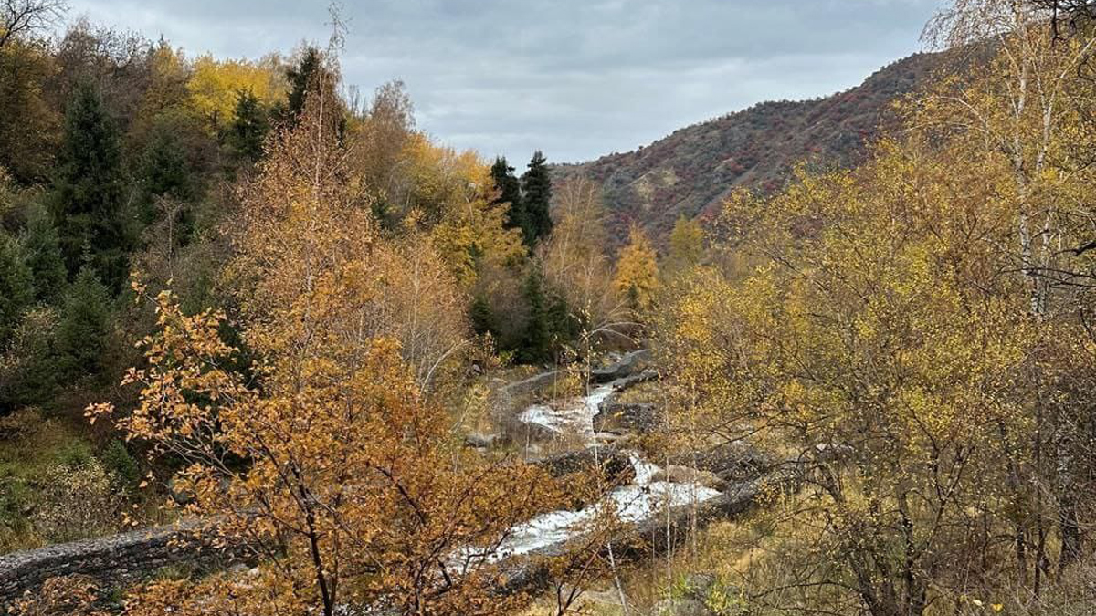 Иле-Алатауский нацпарк: кому можно въезжать бесплатно