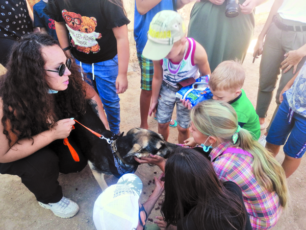 Первый пилотный урок доброты прошел на территории ветеринарной клиники