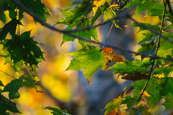 14 сентября в Казахстане ожидается теплая погода