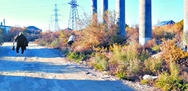 Окрестности заросли гребенщиком