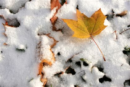 Какая погода ожидает казахстанцев 23 ноября