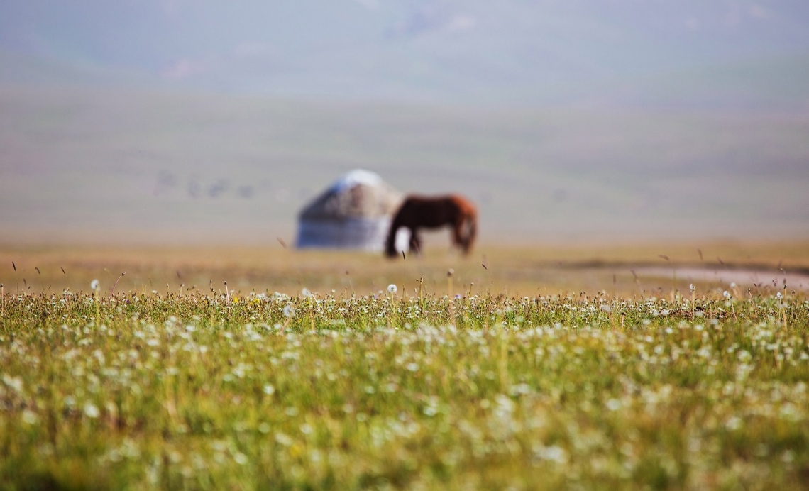 «Казахским журналистам стоит избавиться от влияния русского языка»: обзор казахскоязычной прессы (2-7 декабря)