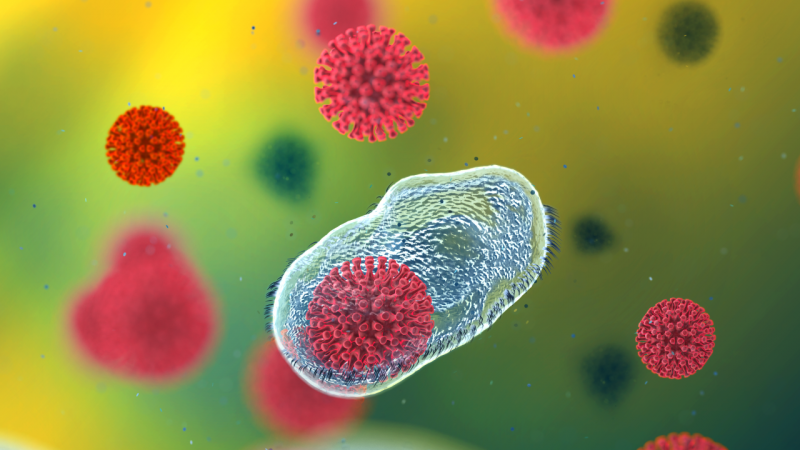 Коронавирус есть у каждого сотого жителя планеты
